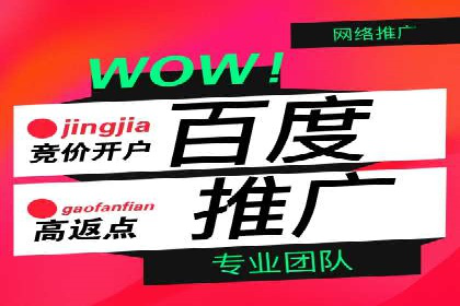 案例分析：如何通过百度推广实现精准引流